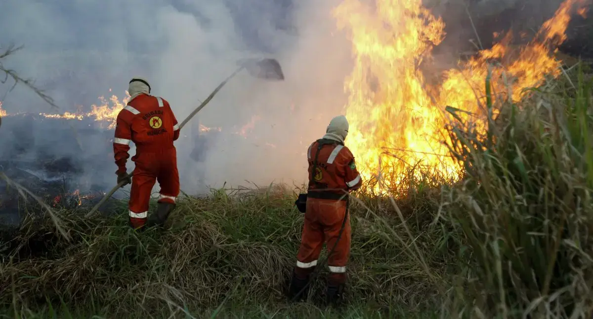 Deputados aprovam R$ 29,57 milhões para ações de combate a incêndios em Rondônia