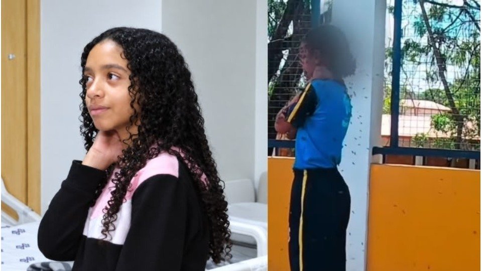 Menina atacada por mais de 100 abelhas recebe alta após uma semana internada